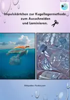 Vorschau - Unterrichtsreihen - Endokrine Disruptoren - "Krank durch Plastik?!" - Seite 2
