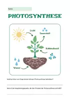 Vorschau - Arbeitsblätter - Blumen und Pflanzen | Biologie oder Sachkunde | Klasse 3-6 - Seite 2