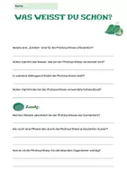 Vorschau - Arbeitsblätter - Blumen und Pflanzen | Biologie oder Sachkunde | Klasse 3-6 - Seite 3