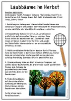Vorschau - Mal- und Bastelvorlagen - Laubbäume bei Nacht - Kunstprojekt für den Herbst 🍂 November Tag - Seite 1