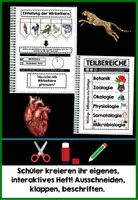 Vorschau - Unterrichtsreihen - Was ist Biologie? BUNDLE | Einführung in die Biologie digital + analog - Distanzunterricht + Homeschooling | Sofort einsetzbar - Seite 2