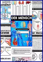 Vorschau - Unterrichtsreihen - Der menschliche Körper - Interaktives Forscherheft – ZELLEN – GEWEBE – CELLULITE - ORGANE –ORGANSYSTEME – 5 SINNE - Seite 3