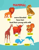 Vorschau - Arbeitsblätter - Animals Complete Wildlife - Arbeitsblätter + Antworten - Seite 2