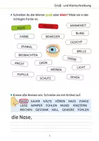 Vorschau - Stundenentwürfe - Mein Übungsheft Rechtschreiben - 3. Klasse - Seite 2