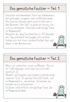 Vorschau - Fördermaterial/Inklusion - Abschreibkartei - Exotische Tiere + Miniheft - Seite 2