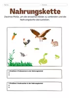Vorschau - Arbeitsblätter - Tiere Klasse 1-6 | Grundschule | Lebensräume von Tieren - Seite 2