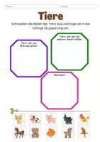 Vorschau - Arbeitsblätter - Tiere Klasse 1-6 | Grundschule | Lebensräume von Tieren - Seite 3