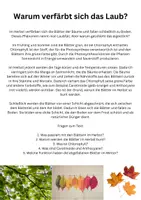 Vorschau - Arbeitsblätter - Warum verfärbt sich das Laub? Infotext mit 5 Fragen - Deckblatt