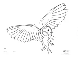Vorschau - Mal- und Bastelvorlagen - *VERTRETUNGS-STD* *BE* Eule Ausmalbild inkl. Mandala-Version - Seite 1