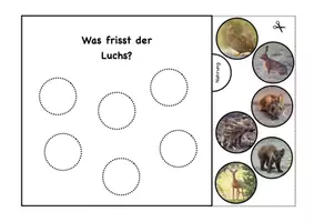 Vorschau - Mal- und Bastelvorlagen - Luchs Miniheft, Merkheft, 1. Klasse Sachunterricht - Seite 3