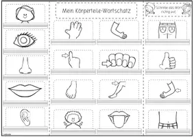 Vorschau - Arbeitsblätter - Mini-Lapbook | Körperteile Wortschatz | für alle Sprachen - Seite 1