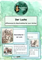 Vorschau - Arbeitsblätter - Abschreibkartei Luchs Winter 2. Klasse, differenziert #silvesterknaller23 - Deckblatt