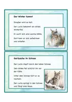 Vorschau - Arbeitsblätter - Abschreibkartei Luchs Winter 2. Klasse, differenziert #silvesterknaller23 - Seite 2