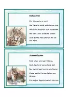 Vorschau - Arbeitsblätter - Abschreibkartei Luchs Winter 2. Klasse, differenziert #silvesterknaller23 - Seite 3