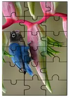 Vorschau - Spiele - Early finishers "mazes and puzzles" - Seite 1