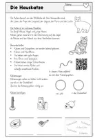 Vorschau - Arbeitsblätter - Hund und Katze – Arbeitsmaterial und Hefteinträge für den Sachunterricht - Seite 1