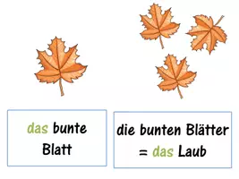 Vorschau - Fördermaterial/Inklusion - DaZ Einführung_Herbst - Seite 1