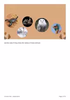 Vista previa - Hojas de trabajo - miniproyecto "Unusual Pets" - Inglés A1/A2 - página 2