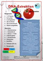 Vorschau - Experimente - DNA-Extraktion an der Tomate mit genauer Auswertung - Deckblatt
