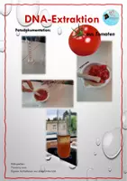 Vorschau - Experimente - DNA-Extraktion an der Tomate mit genauer Auswertung - Seite 3