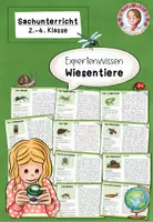Vorschau - Stationenlernen - Wissenskartei Wiesentiere | Sachunterricht Klasse 2-4 - Deckblatt