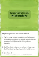 Vorschau - Stationenlernen - Wissenskartei Wiesentiere | Sachunterricht Klasse 2-4 - Seite 3