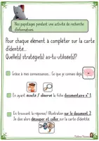 Aperçu - Préparation de séquence / Séquence complète - La carte d'identité d'un animal le tigre Marie Milo - Page 1