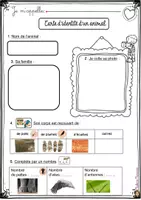 Aperçu - Préparation de séquence / Séquence complète - La carte d'identité d'un animal le tigre Marie Milo - Page 2