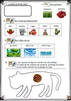 Aperçu - Préparation de séquence / Séquence complète - La carte d'identité d'un animal le tigre Marie Milo - Page 3