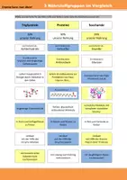 Vorschau - Arbeitsblätter - 3 Nährstoffe im Vergleich - Seite 2