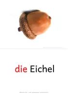 Vorschau - Bildkarten - Herbst DaZ - Seite 3