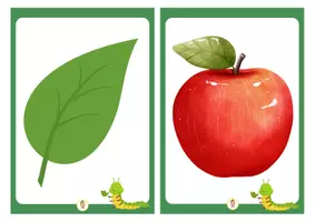 Vorschau - Bildkarten - Caterpillar flashcards - Seite 2