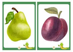 Vorschau - Bildkarten - Caterpillar flashcards - Seite 3