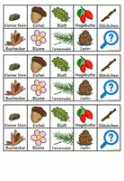 Vorschau - Experimente - Waldschatzkiste, Bingo, Wald, Eierkarton, Waldschätze - Seite 1
