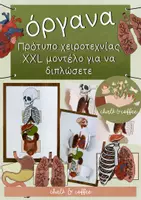 Προεπισκόπηση - Flashcards - όργανα Πρότυπο χειροτεχνίας XXL μοντέλο για να διπλώσετε - Εξώφυλλο