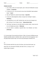 Vorschau - Arbeitsblätter - LK Kommasetzung (inkl. Lösungen) - Seite 3