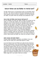 Vorschau - Arbeitsblätter - Lesetext - Herbst: Warum färben sich die Blätter bunt? - Seite 1