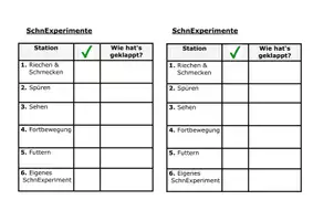Vorschau - Arbeitsblätter - Experimente mit Schnecken - Seite 1
