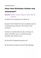 Vorschau - Arbeitsblätter - Experimente mit Schnecken - Seite 3