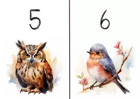 Vorschau - Poster - Zahlenplakate 1-6 Waldtiere - Seite 3