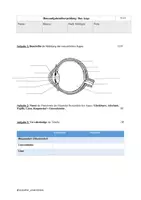 Vorschau - Test - Test - das menschliche Auge - Seite 1