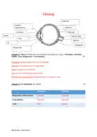 Vorschau - Test - Test - das menschliche Auge - Seite 2