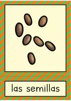 Vista previa - Refuerzo / NEE / Materiales de apoyo - En el jardín / jardinería - tarjetas con imágenes para primaria - página 3