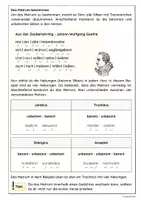 Vorschau - Arbeitsblätter - Das Metrum/Versmaß erkennen und bestimmen - Seite 2