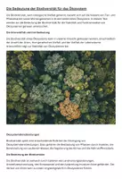 Vorschau - Arbeitsblätter - Die Bedeutung der Biodiversität für das Ökosystem - Deckblatt