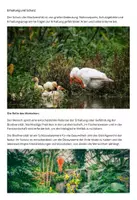 Vorschau - Arbeitsblätter - Die Bedeutung der Biodiversität für das Ökosystem - Seite 1
