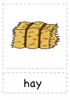 Vorschau - Bildkarten - Farm animals - flash cards - Seite 2