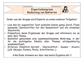 Vorschau - Stundenentwürfe - Bakterien im Biologieunterricht: Komplett-Paket mit Arbeitsblättern, Unterrichtsstunden, Gruppenarbeiten & Test - Seite 2