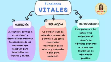 Vista previa - Tarjetas / Manipulativos - LA NUTRICIÓN - página 1