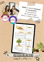 Vorschau - Arbeitsblätter - Canva Link-Vorlage: Steckbrief Kastanie - Seite 3